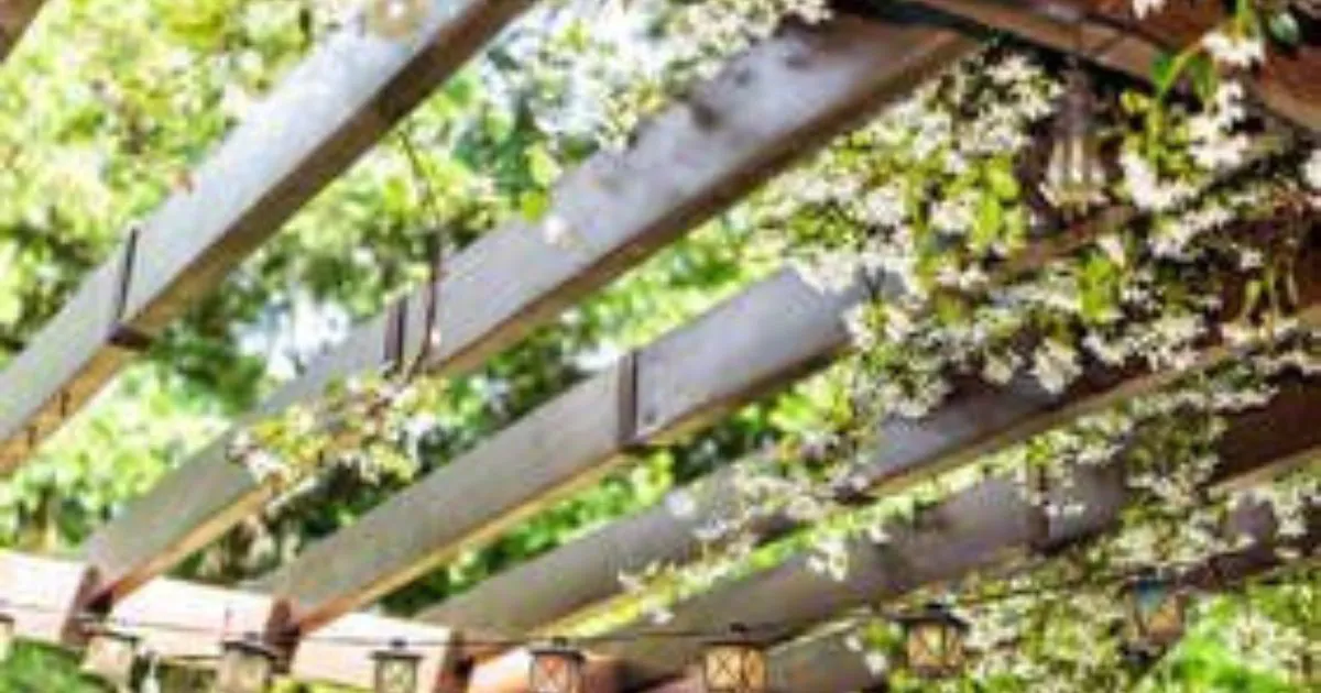 Enhance Your Deck With A Pergola - South Shore Deck Builders East Bridgewater MA