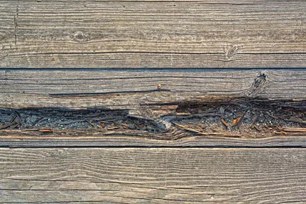 Its Rotted - South Shore Deck Builders Milton, MA